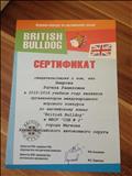 Сертификат организатора международного игрового конкурса по английскому языку "British Bulldog" в МБОУ "СОШ№2" Сертификат организатора международного игрового конкурса по английскому языку "British Bulldog" в МБОУ "СОШ№2"
